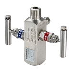 0306RT12AA11 | Rosemount™ 306 In-Line Manifold